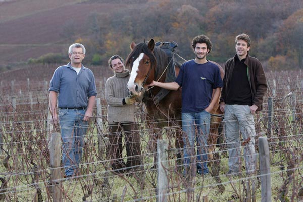 Domaine Arlaud Père et Fils