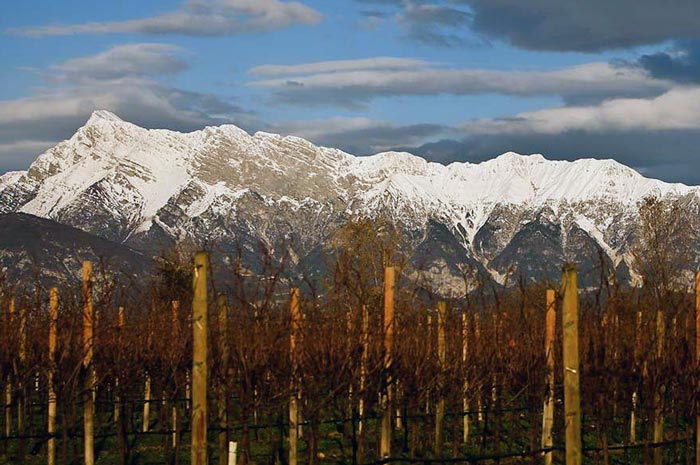 Azienda Agricola Zuccolo