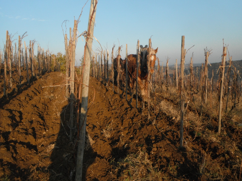 Domaine De Gouye