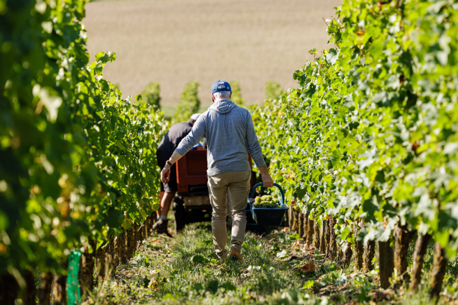 Domaine Musset-Roullier