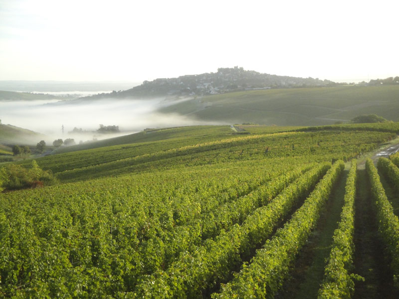 Domaine Pierre Cherrier et Fils