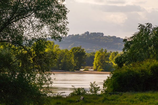 Domaine Curot